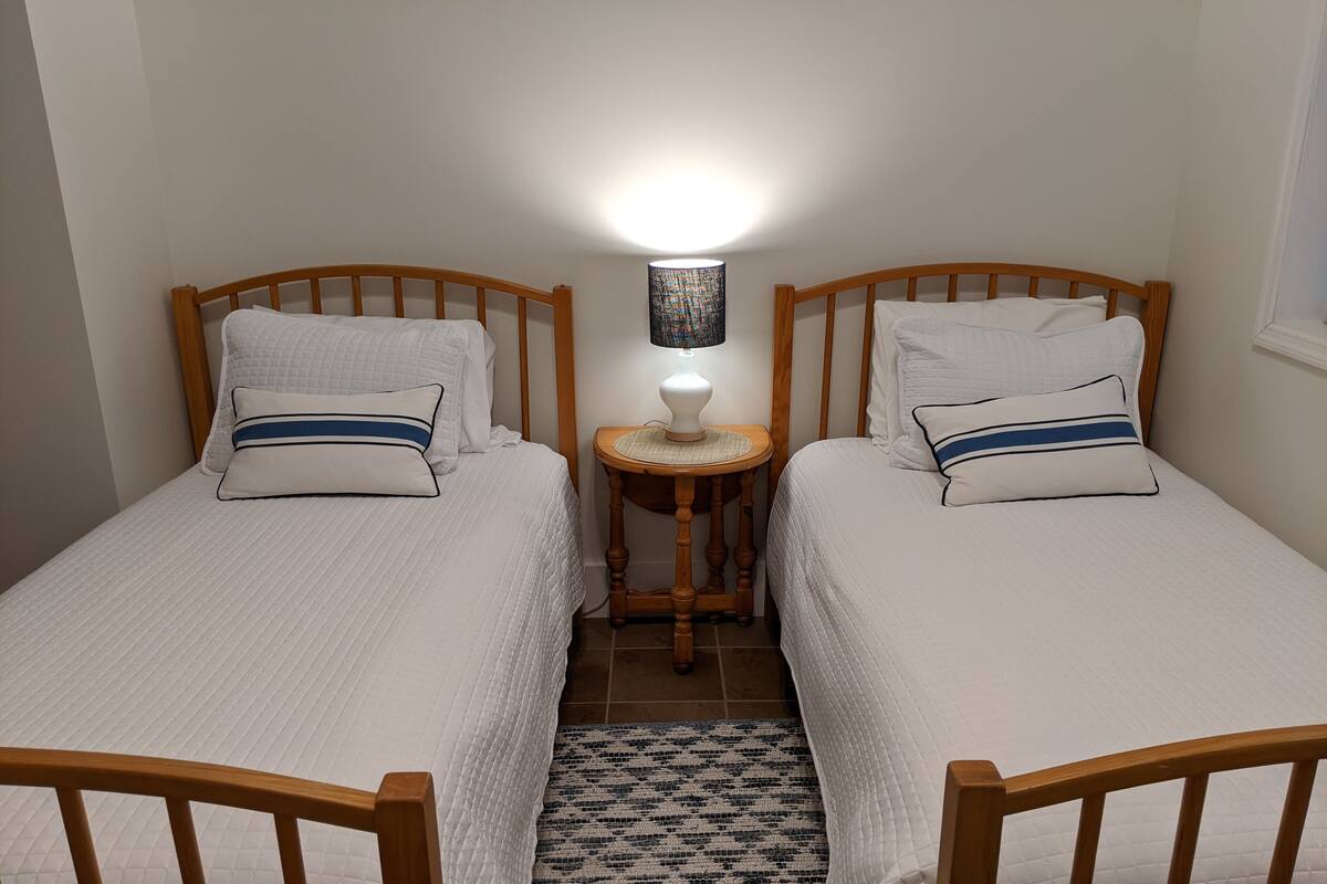 Une chambre à deux lits simples, avec deux lits individuels, une table de chevet avec une lampe et un tapis à motifs.