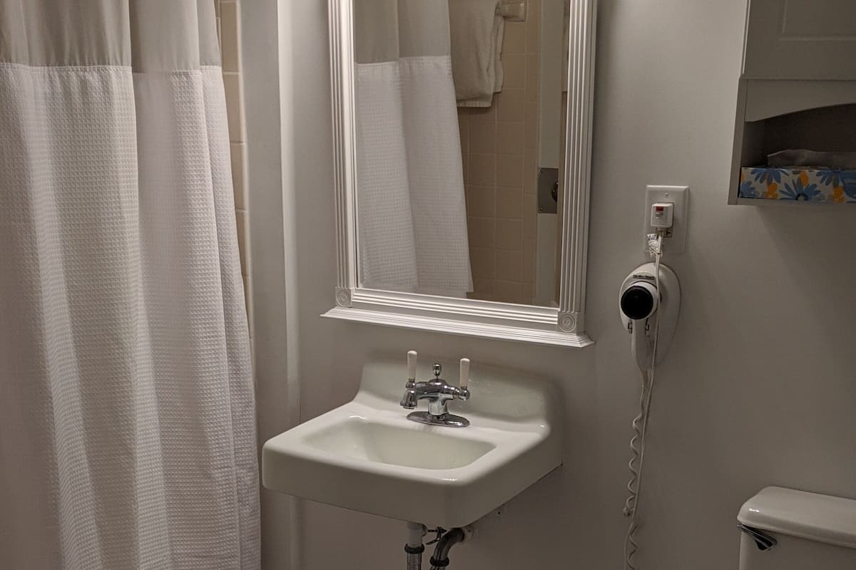 junior room, 1 king bed with sofa bed, balcony, city view | bathroom | combined shower/bathtub, free toiletries, hair dryer, towels