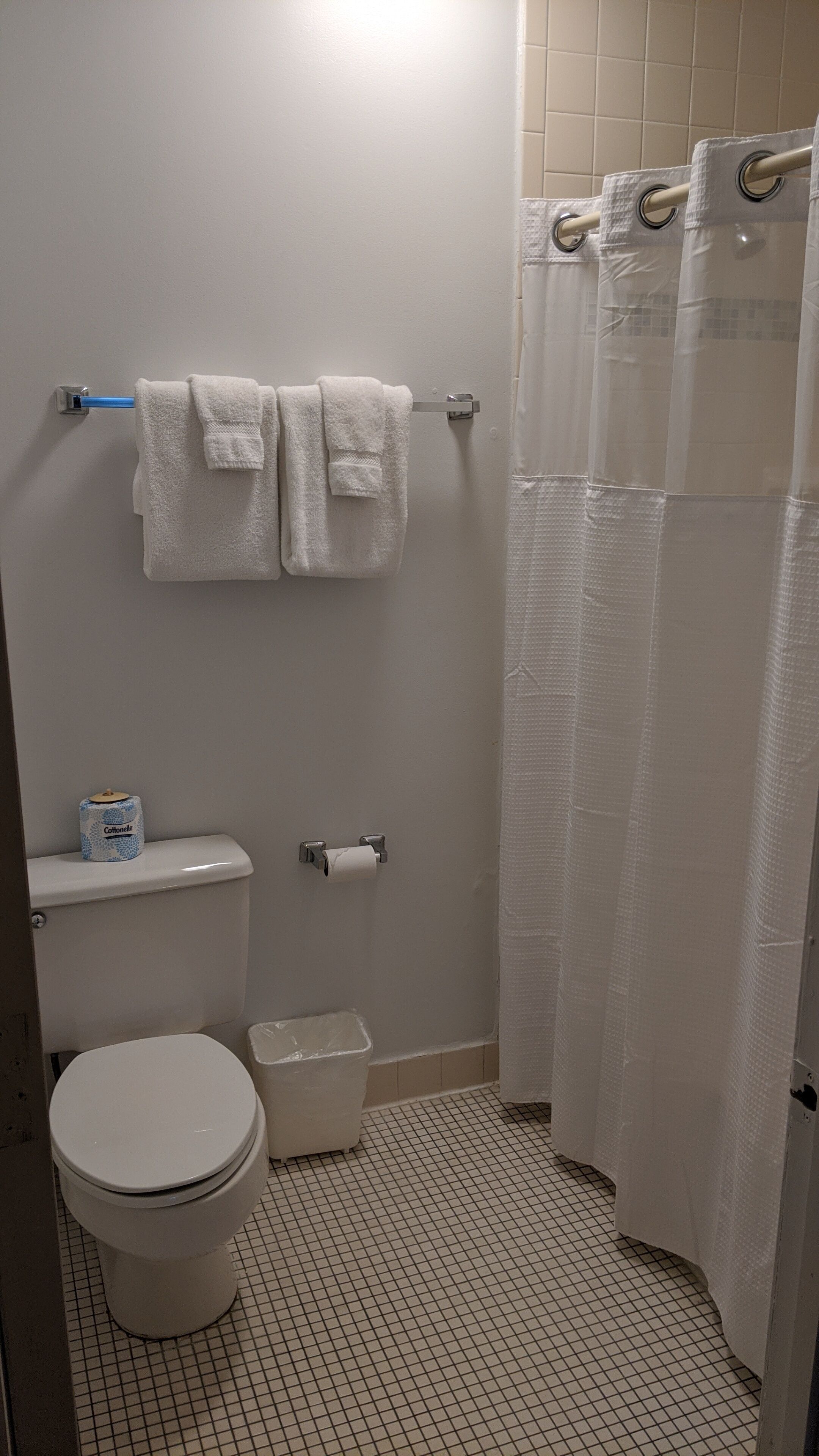 combined shower/bathtub, free toiletries, hair dryer, towels