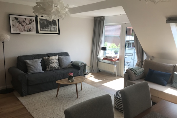 Televisión, reproductor de DVD, libros y videoteca