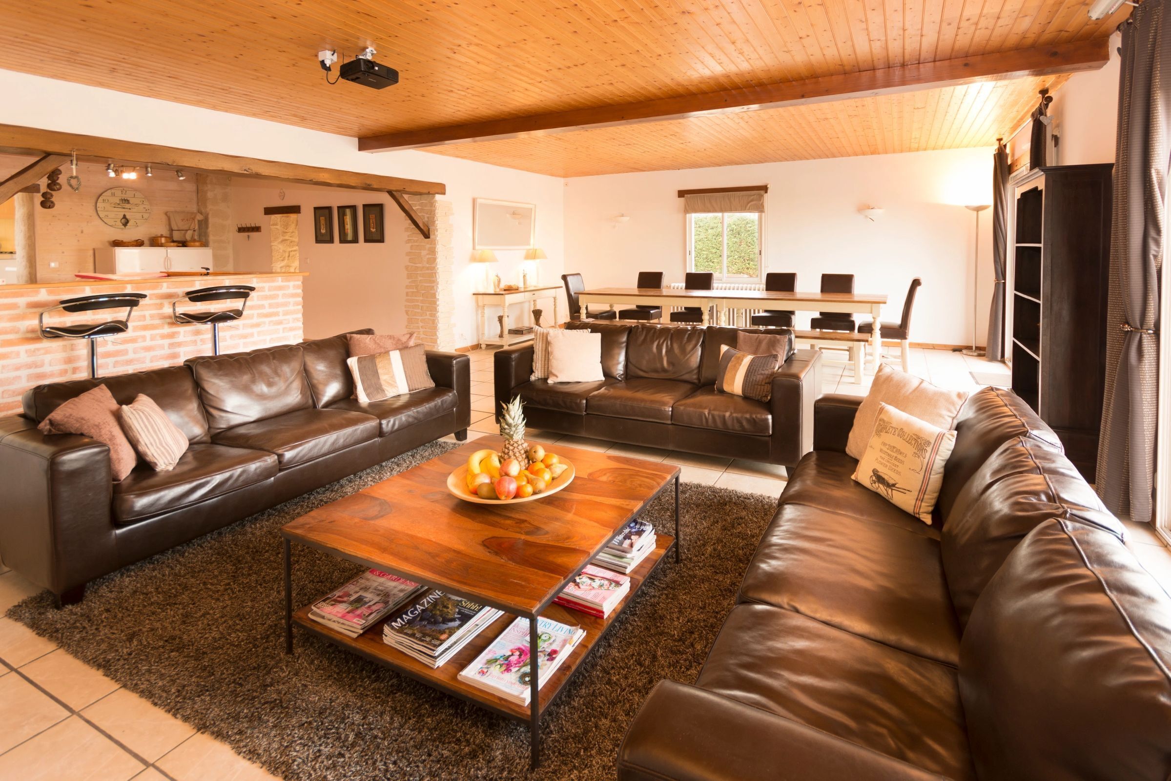 智能電視、壁爐、電子遊戲、DVD 播放機