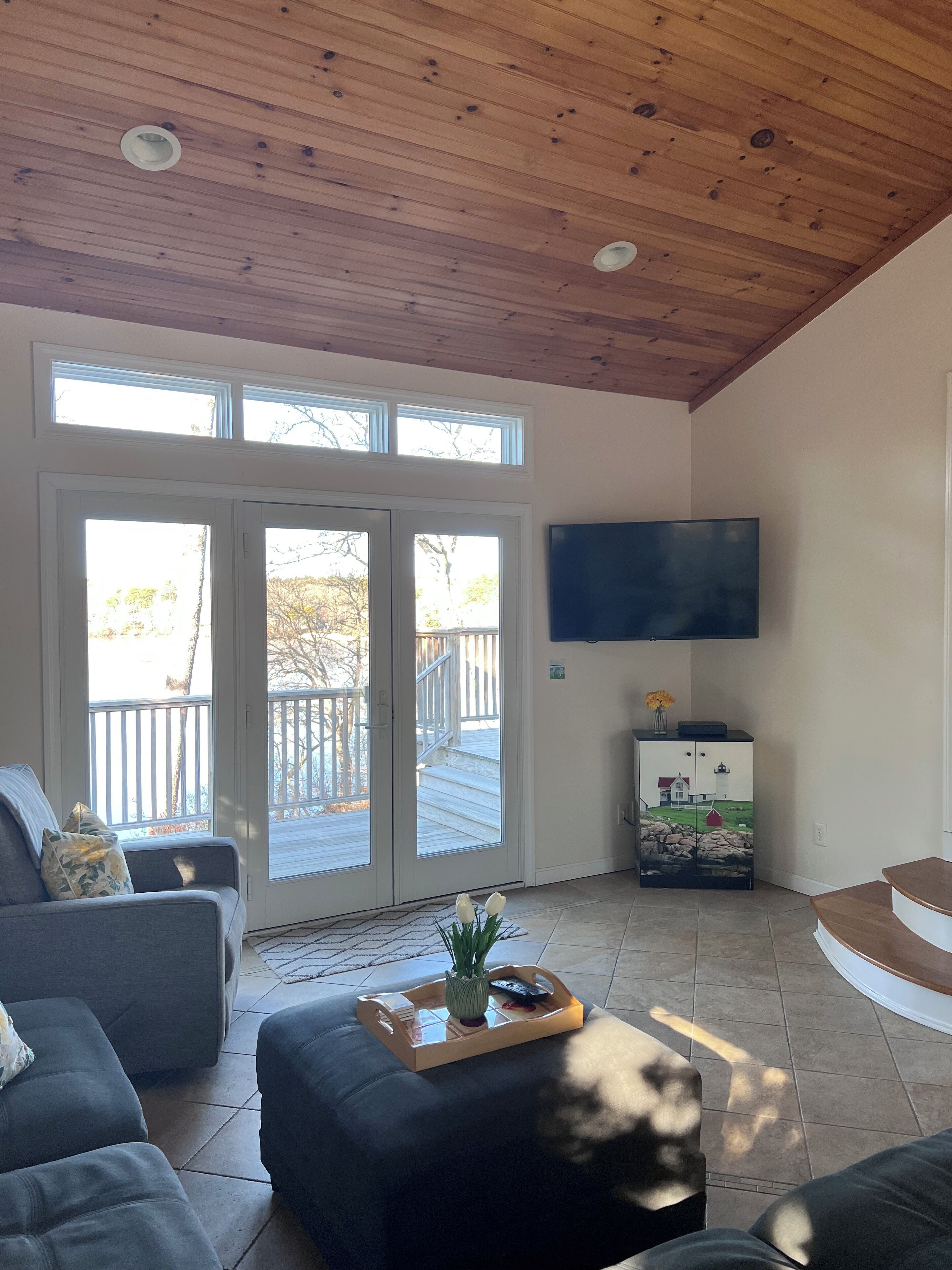 TV, fireplace, books
