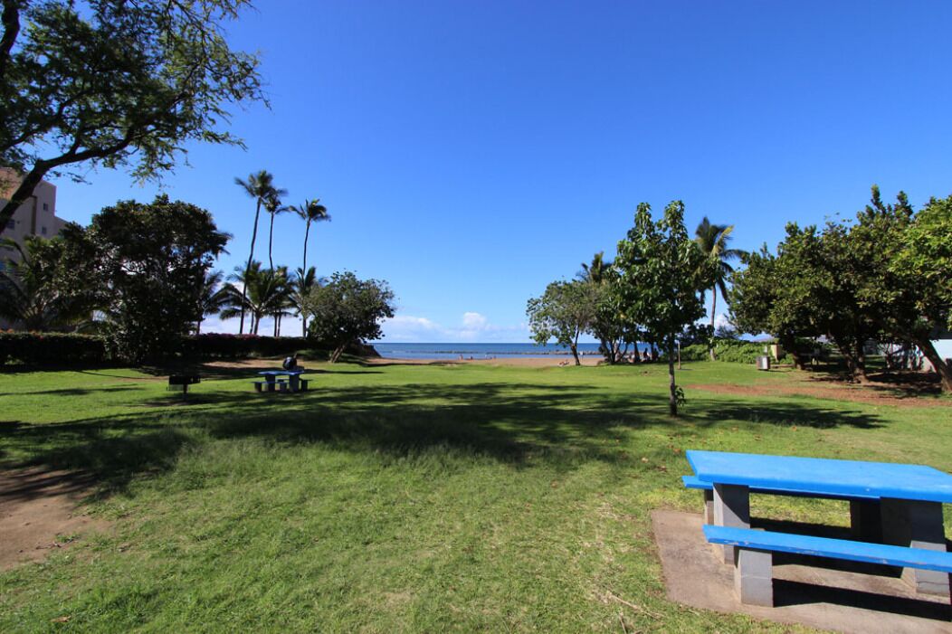 Een groen park met een blauwe picknicktafel, bomen en uitzicht op de oceaan.