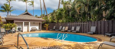 A swimming pool with lounge chairs and a covered seating area, surrounded by palm trees.