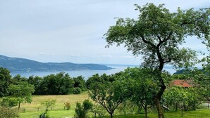 Eine Landschaft mit einem großen Baum im Vordergrund, einer grünen Wiese und einer Wasserfläche mit sanften Hügeln in der Ferne.