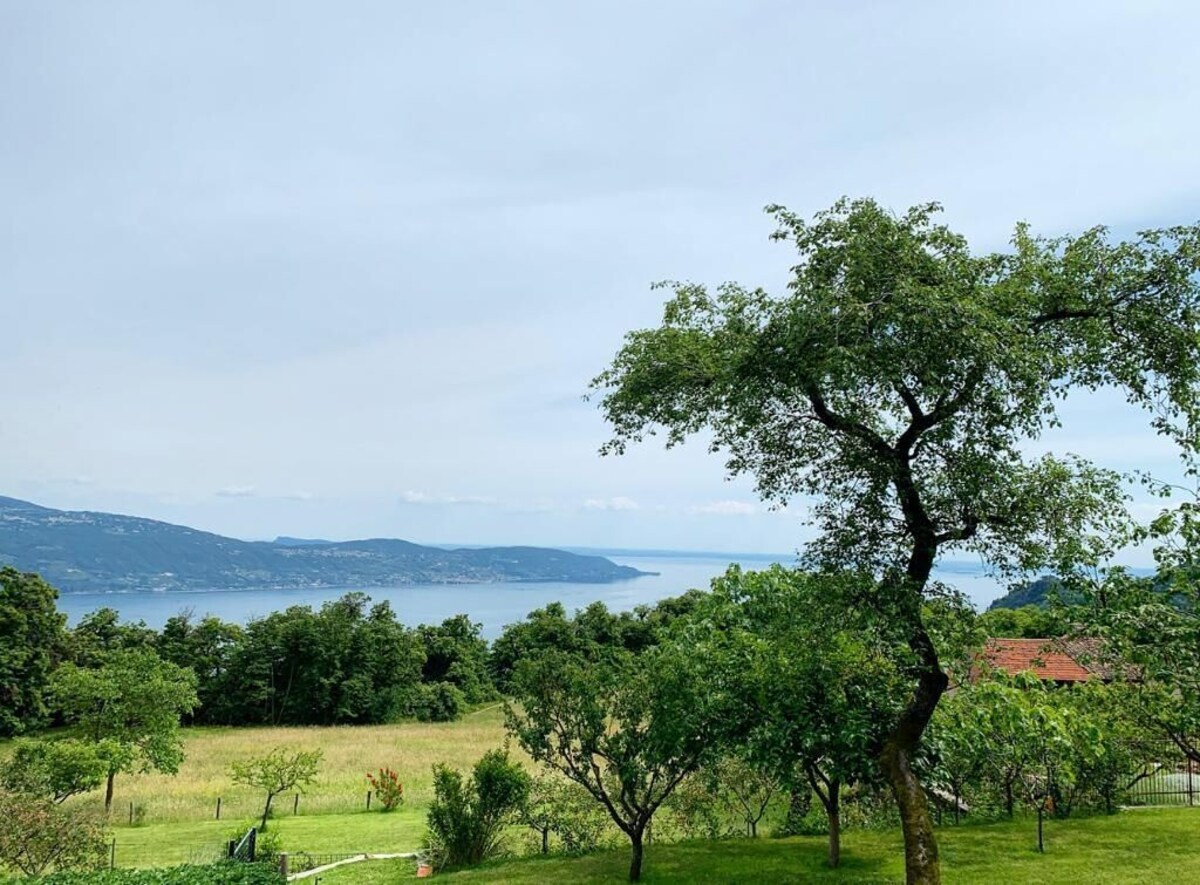 Bild für Gastgeberprofil