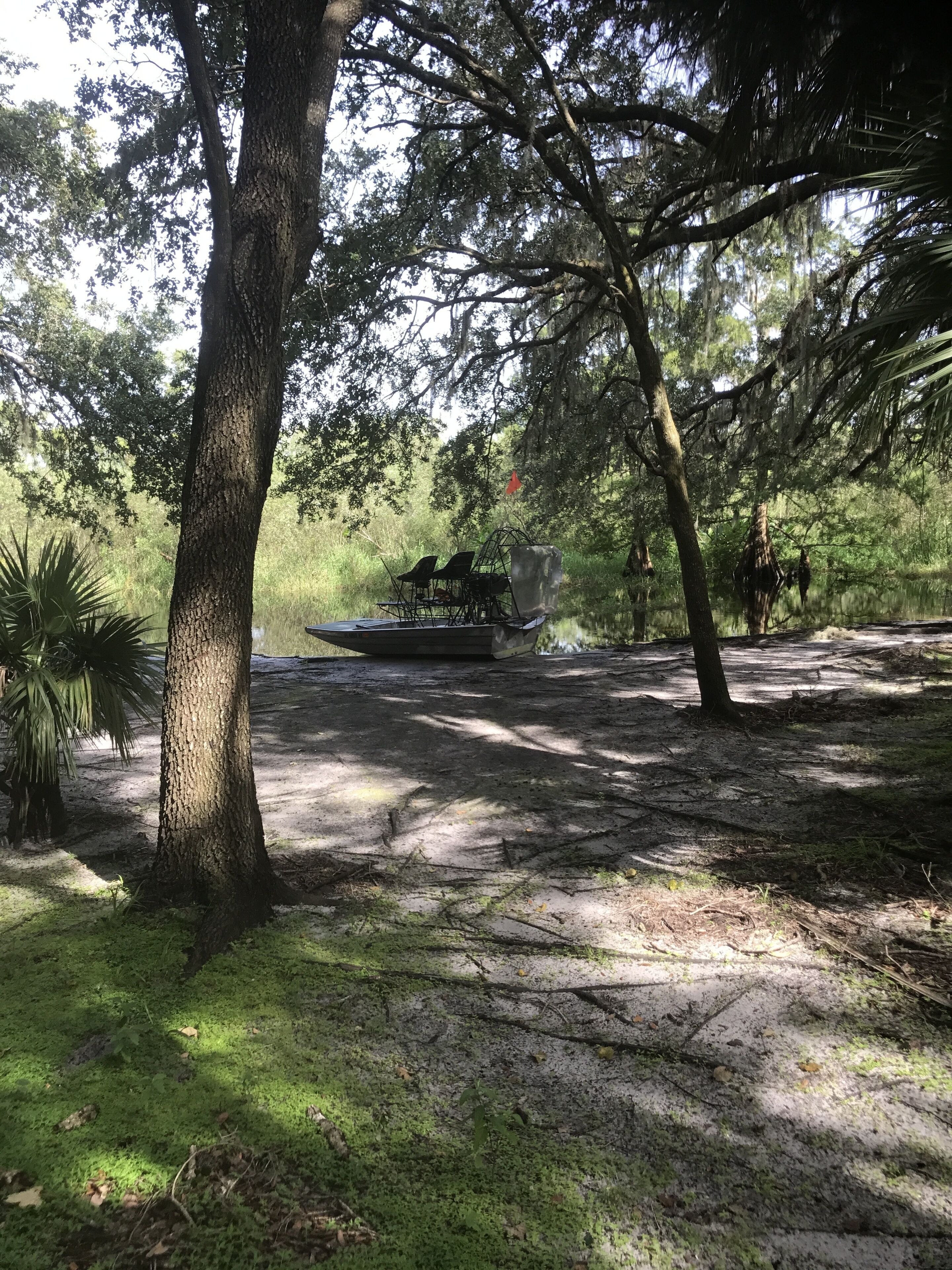 A campsite with a table and chairs under a large tree, surrounded by dense foliage and a body of water.