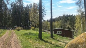 Ein ländliches Blockhaus mit einem Feldweg davor, umgeben von hohen Bäumen und einer Wiese.