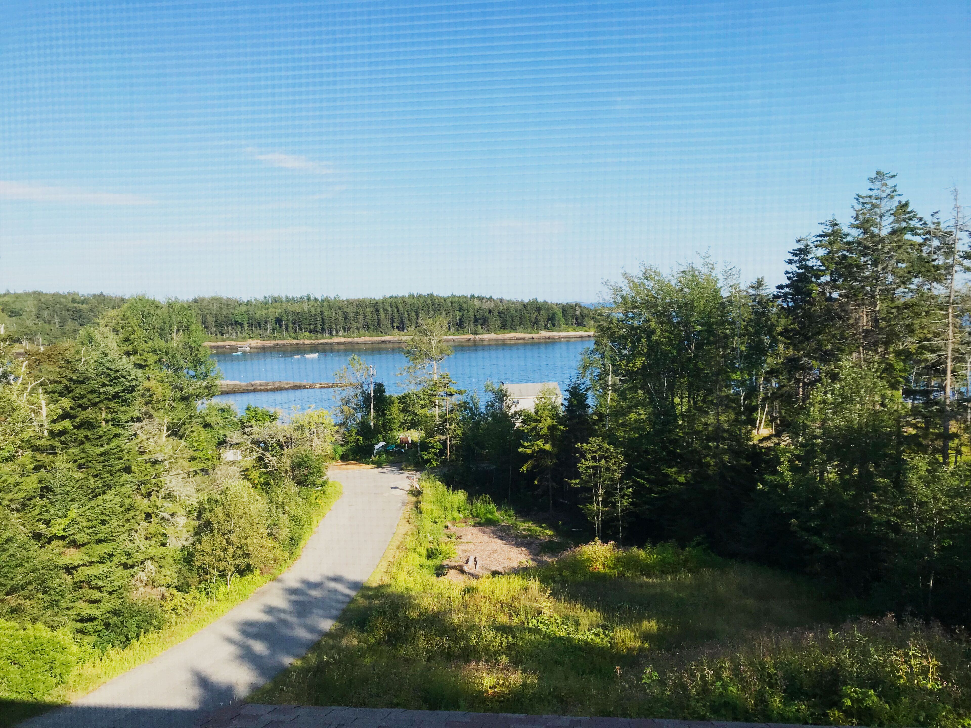 View from the deck.