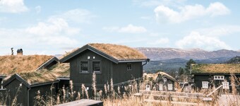 Fantastisk hjem i Rauland med WiFi