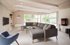 TV connectée, cheminée, lecteur de DVD