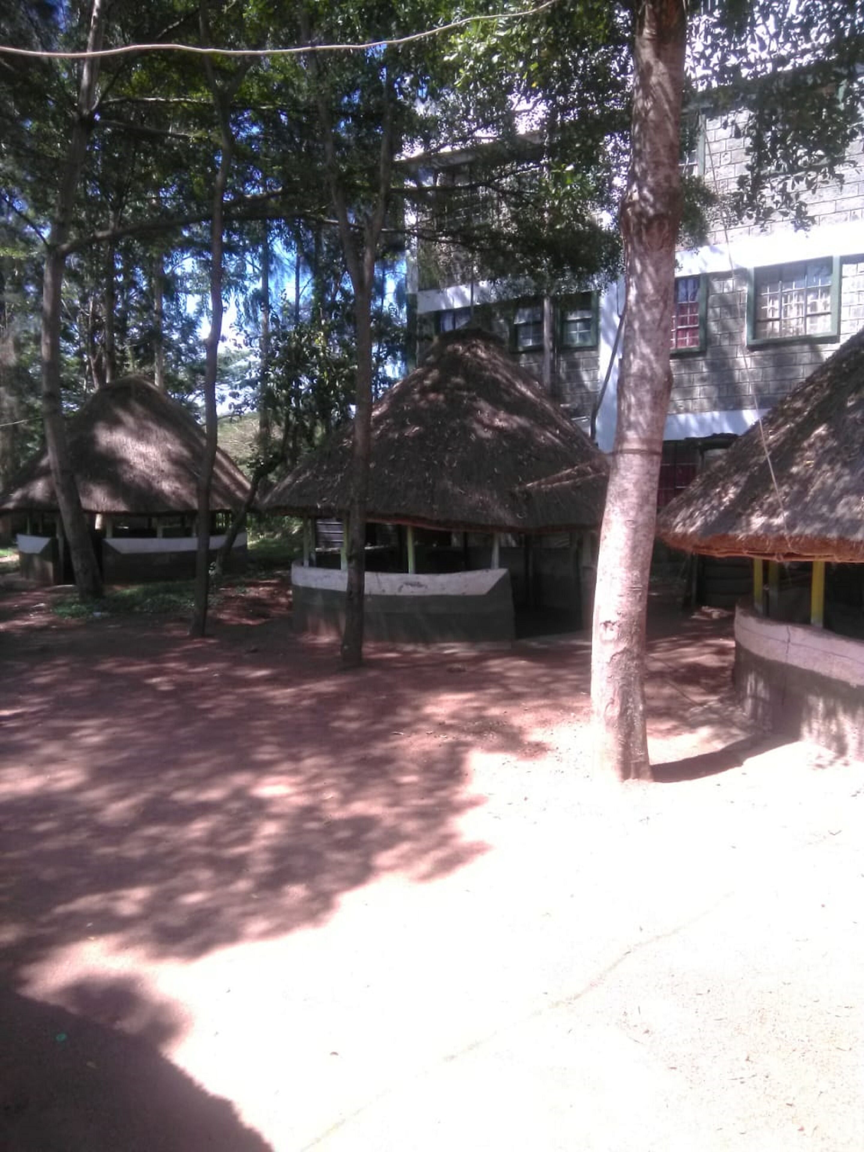 Un edificio con construcciones de techo de paja rodeado de árboles.