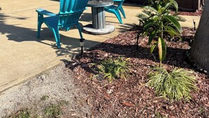 Un bâtiment rustique en bois, surmonté d’un toit en métal, avec une petite terrasse dotée de chaises turquoise et une enseigne indiquant qu’un expresso est offert gratuitement aux enfants.