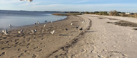 Sun-loungers, beach towels