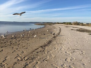 Sun loungers, beach towels