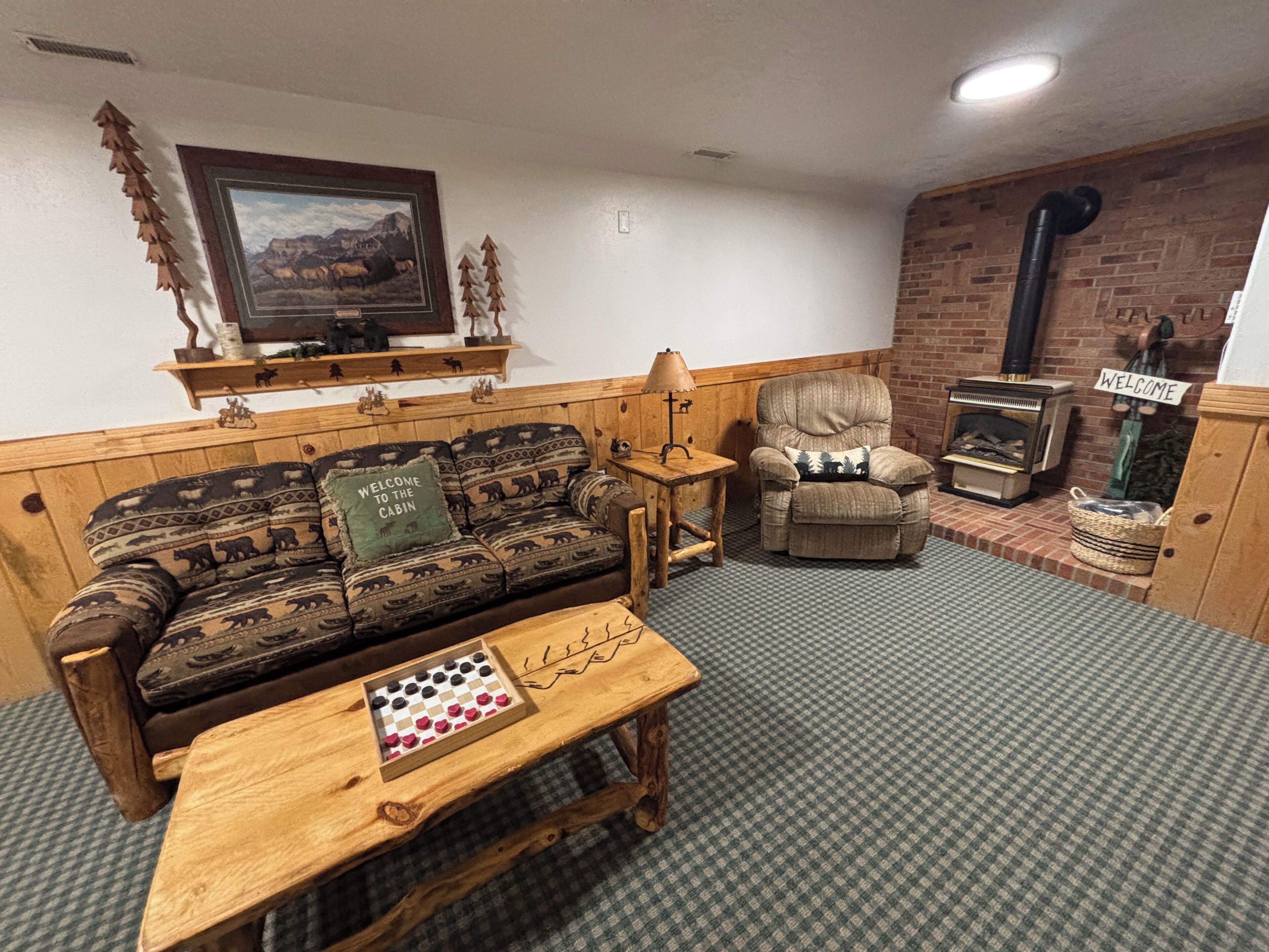 TV connectée, cheminée, lecteur de DVD, livres