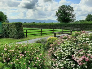 Property grounds - Luxurious Country Farmhouse, Idyllic setting with Fabulous Mountain views. (Bansha)