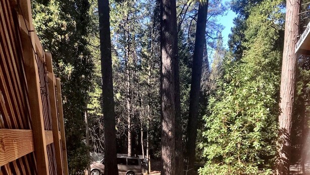 A forested area with a paved path, a vehicle, and a solar panel.