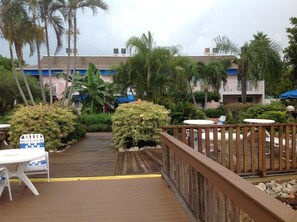 Relax by the pool on a spacious deck surrounded by lush greenery and palm trees.