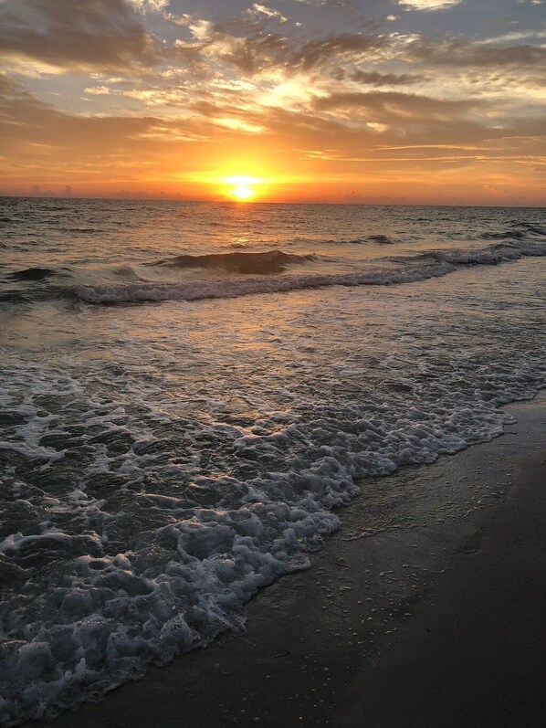 Sun-loungers, beach towels