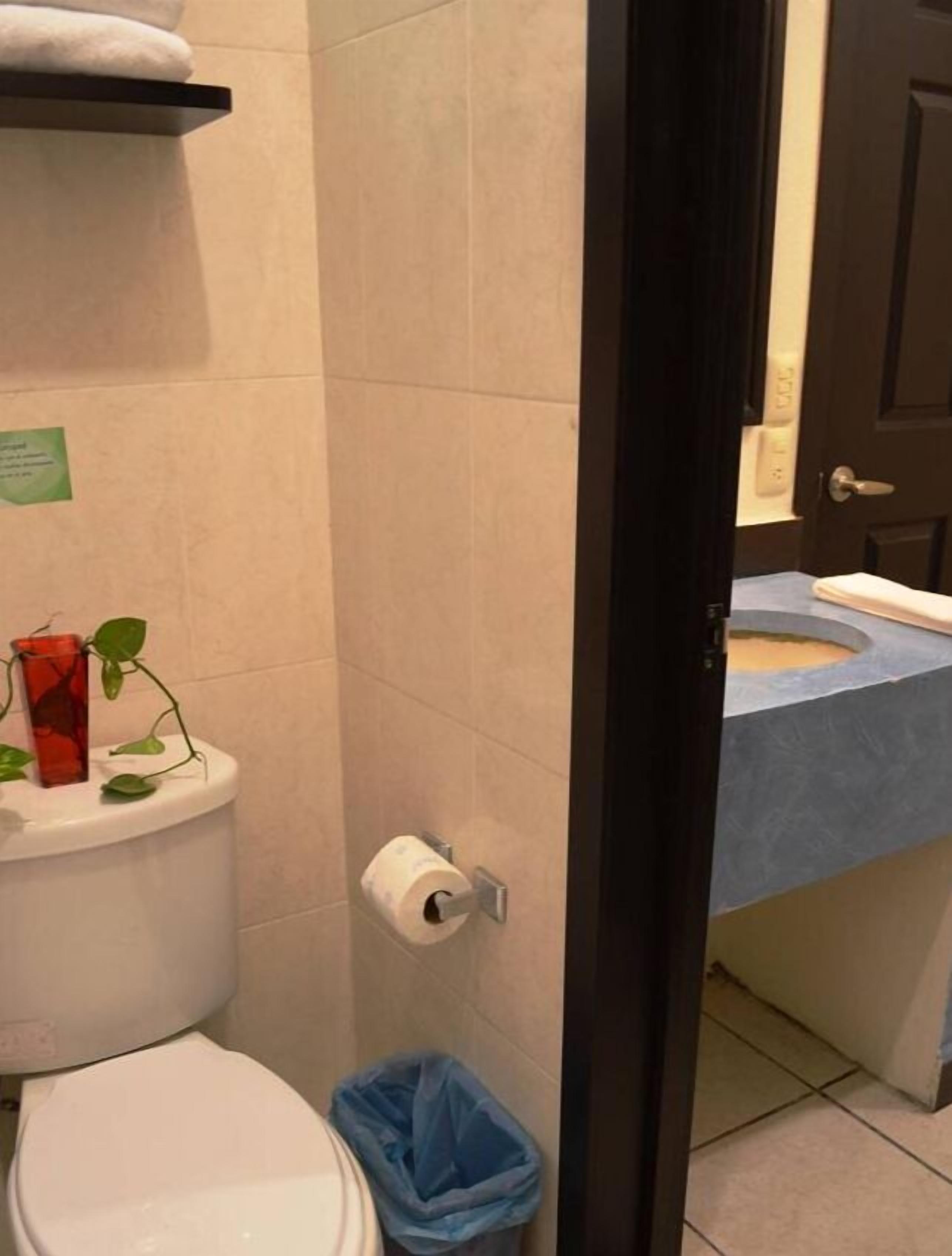 shower, free toiletries, towels, soap