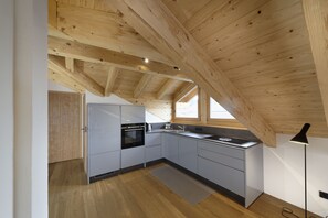 Appartement (Dachgeschoss) | Privékeuken | Een koelkast/vriezer, een oven, een kookplaat, een vaatwasser