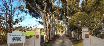 Glen Morris, Wuthering Heights ~ Dog friendly