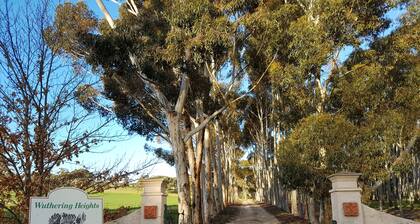 Glen Morris, Wuthering Heights