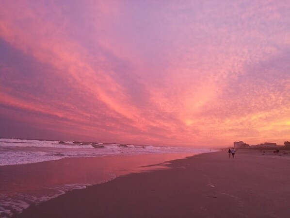 Playa en los alrededores y camastros 