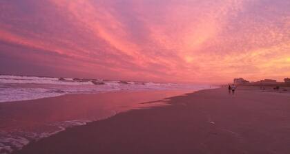 Pet-friendly, fully-fenced yard, minutes to beach