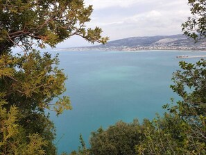 A coastal view with a clear blue sea, a distant shoreline with buildings, and dense greenery framing the scene. - Theodos Lodge Hotel By Hansa (Batroun)