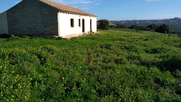 A white building with a tiled roof, a stone wall, and a small porch. - The way of "li mizzani" la jaceta (Palau)