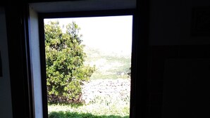 An open door leading to a stone wall and a grassy area with trees. - The way of "li mizzani" la jaceta (Palau)