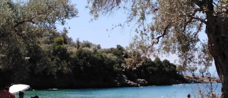 Plage à proximité
