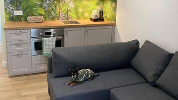 Comfort Apartment, 1 Queen Bed with Sofa bed | Living area | 36-cm flat-screen TV with satellite channels, TV