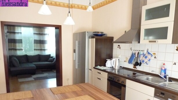 Apartment, 2 Bedrooms | Private kitchen | Coffee/tea maker, fridge, microwave, oven - Aleksandra & Daria (Erfurt)