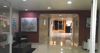 Downtown Kingston Waterfront 2 Bed Apartment