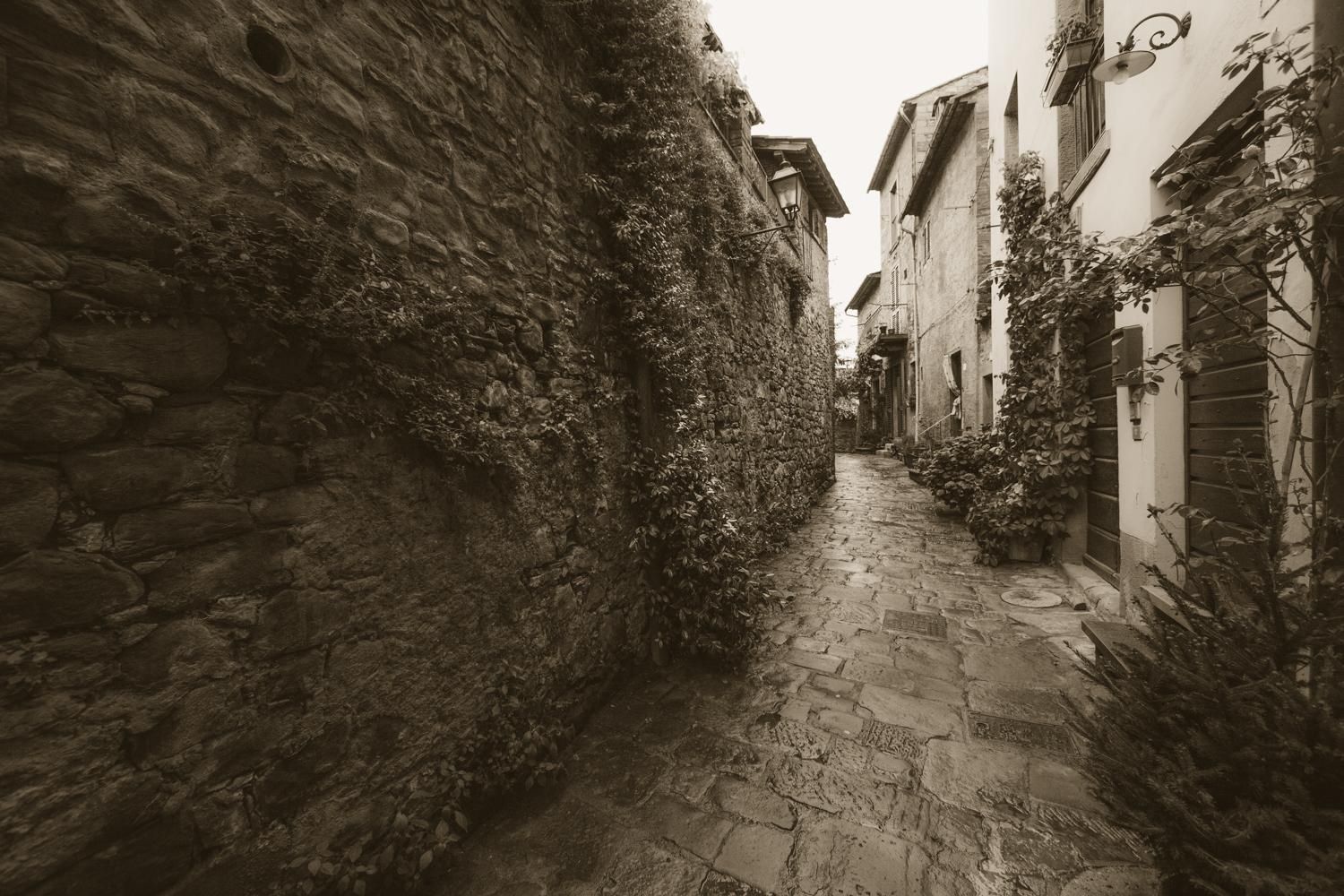 Une ruelle étroite pavée, bordée de murs de pierre et de bâtiments couverts de lierre.