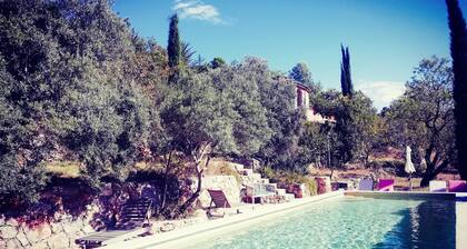 THE MAS OF THE ALMONDS