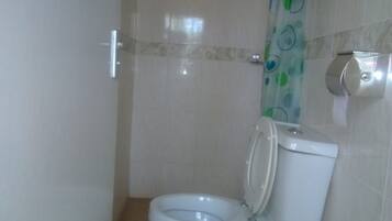A bathroom with a toilet, a shower curtain, and a toilet paper holder.