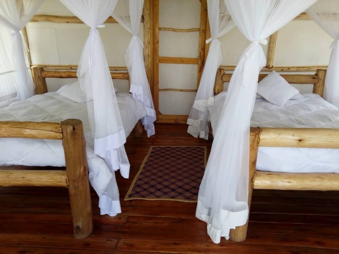 A room with four wooden beds, each with white bedding and a mosquito net.