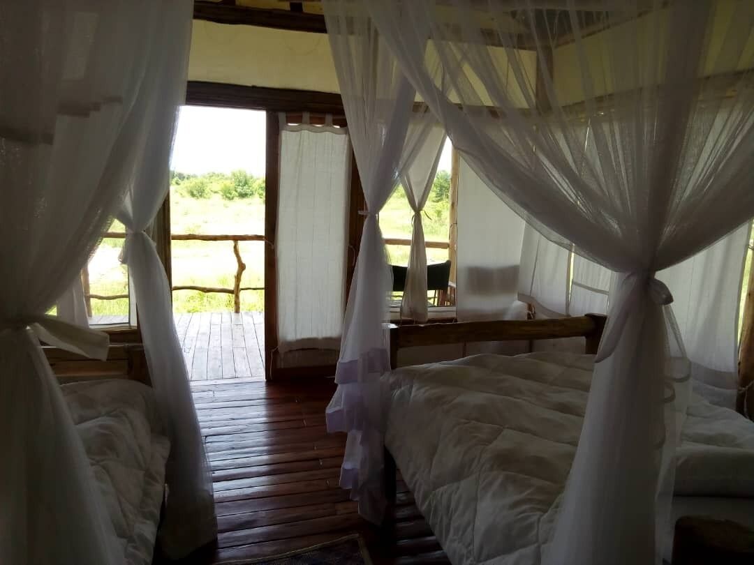 A room with two beds, wooden flooring, and a view of the outdoors through large windows.