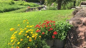 Ein Garten mit gelben und roten Blumen in Pflanzgefäßen.