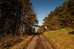 Een landweg met een snelheidsbeperkingsbord van 50 km/u, omringd door dichte bomen en grasvelden.