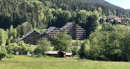 Haus Schwarzwaldgrund Tonbach