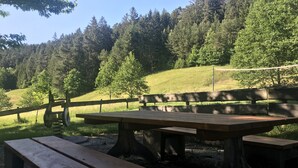 Grill- och picknickområde