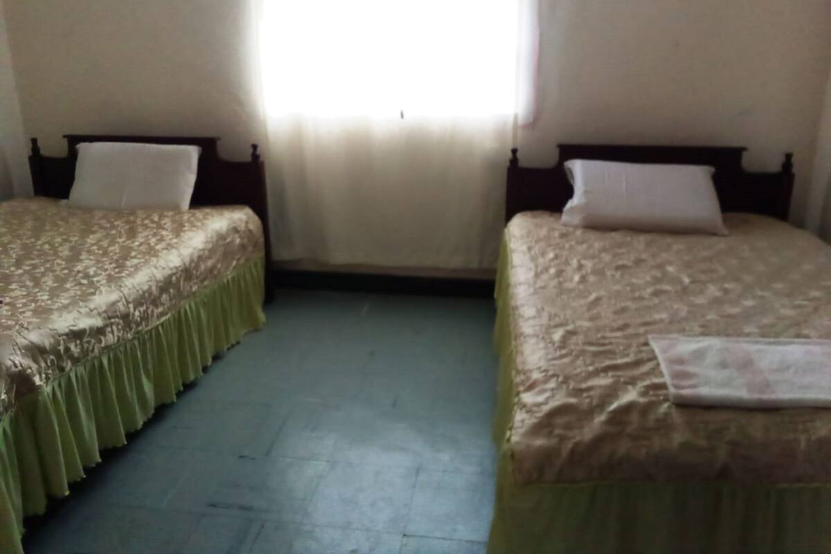 Una habitación con dos camas individuales, cada una con cabecero de madera y falda de cama verde.