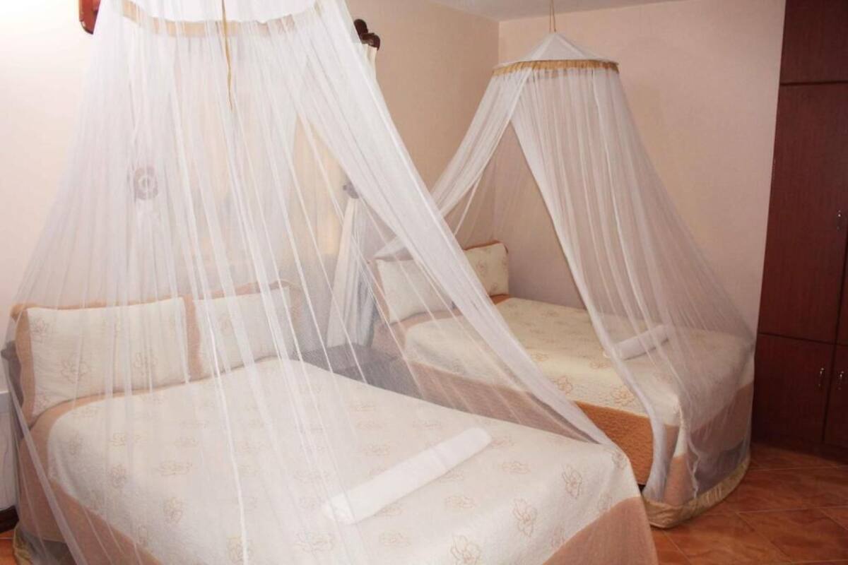 A room with two beds, each covered with a canopy.