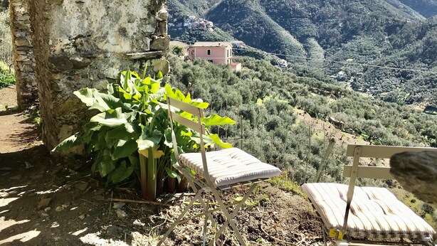Unclassified image, 1 of 35, button - Agriturismo San Cristoforo (Levanto)