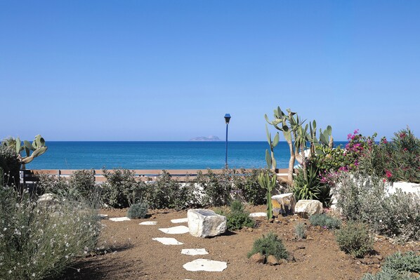 Un jardín costero con cactus y plantas en flor, un camino pavimentado y vista al mar.